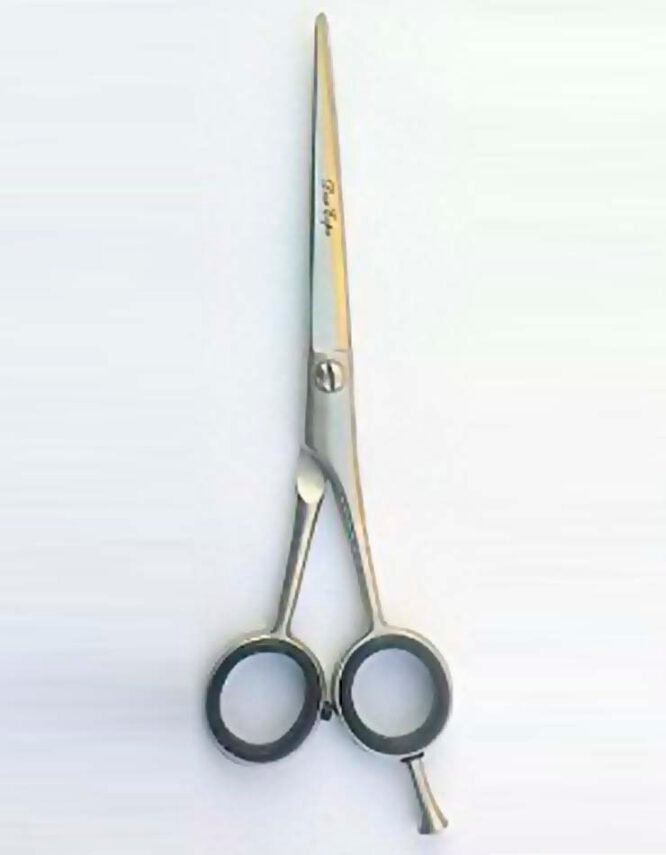 Barber Scissors Best Salon Hair Cutting Scissors 420